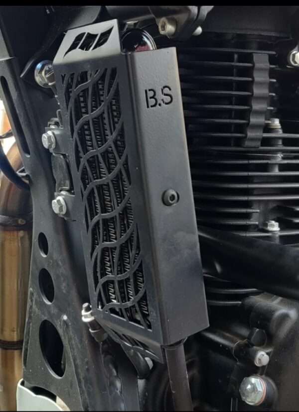 BS Auto Stainless Steel Radiator Grill Cover Guard For Royal Enfield Himalayan 411 (Black)