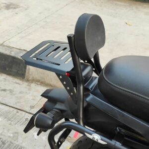 Backrest With Luggage Rack For Harley Davidson X440